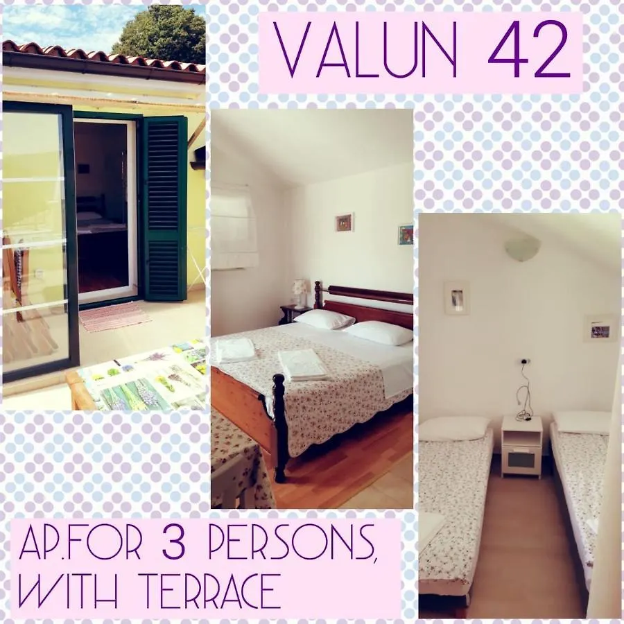 House Valun 42 Apartment Croatia